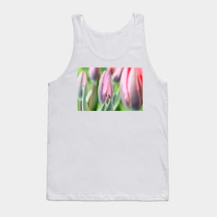 Tulipa &#39;Pretty Princess&#39; Triumph Group Tulip Tank Top